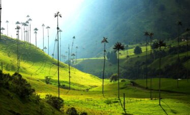 Viaje al Quindío – Mucho más que una cultura cafetera