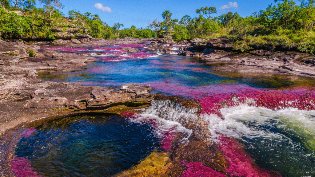La Macarena – Caño Cristales: Aventura natural