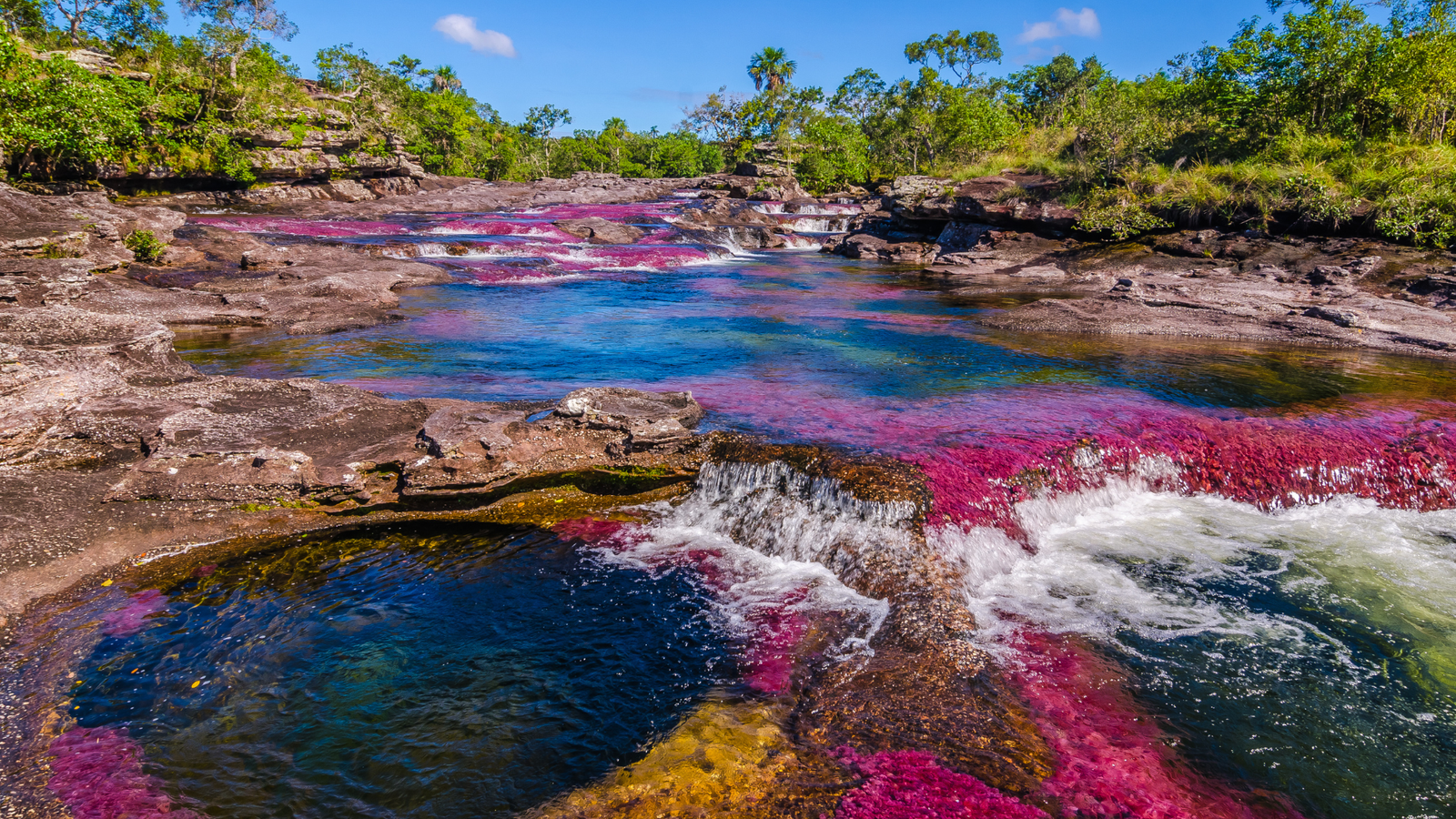 La Macarena – Caño Cristales: Aventura natural