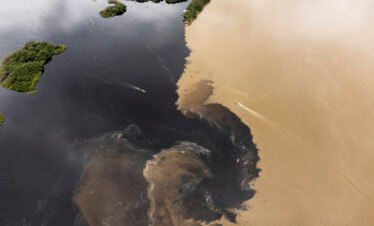 Viaje a Casanare – Avistamiento de Aves