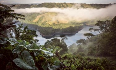 Tour Caldas esencial – Café, termales y páramo
