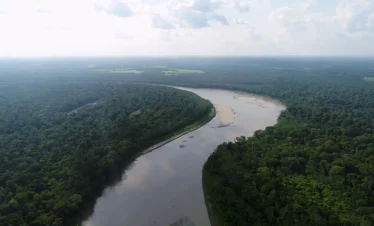 Viaje al Guaviare – Arte rupestre y selva