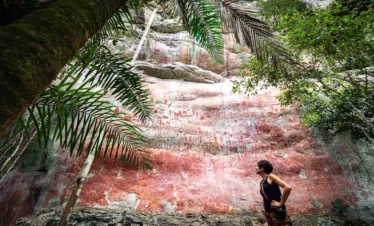 Viaje al Guaviare – Pictogramas y cosmogonía