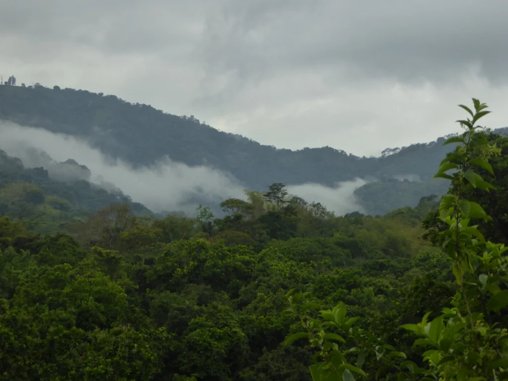 Valledupar: Ruta Vallenata y Sierra Nevada