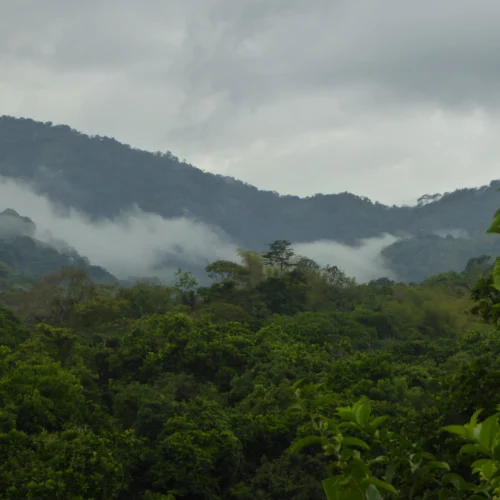Valledupar: Ruta Vallenata y Sierra Nevada