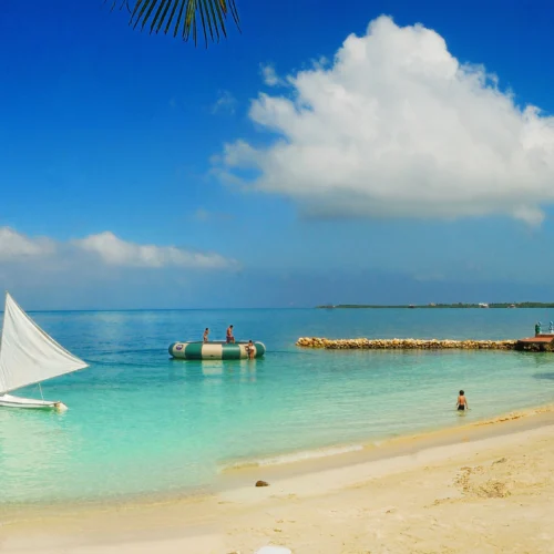 Tour por Isla Múcura – Mar, manglar y bioluminiscencia